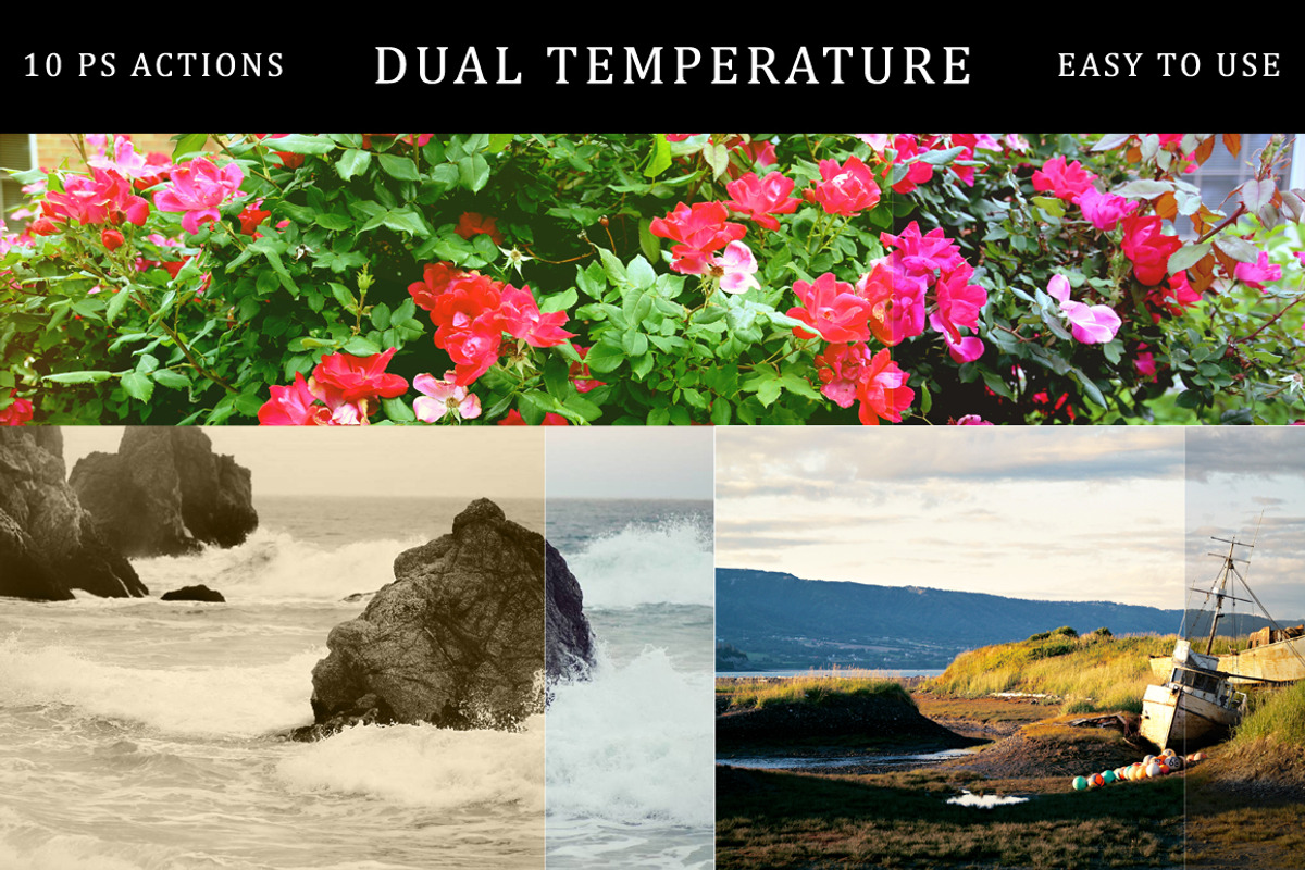 (50% off) Dual Temperature | Actions preview 3
