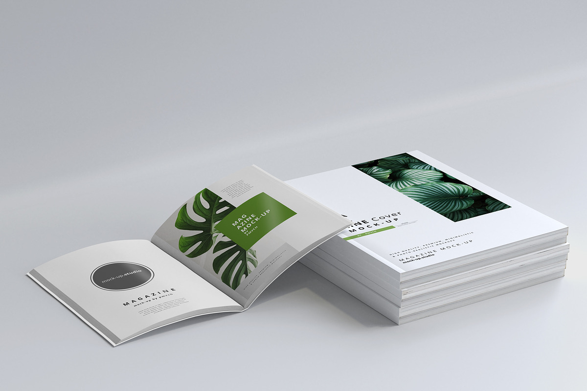 165 Brochure Mock-ups Big Bundle, a Print Template by pmvch (Photo 11 of 170)