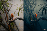 AI Dark Aesthetic Lightroom Presets, a Preset Add-On by AAA Presets (Thumbnail 12 of 23)