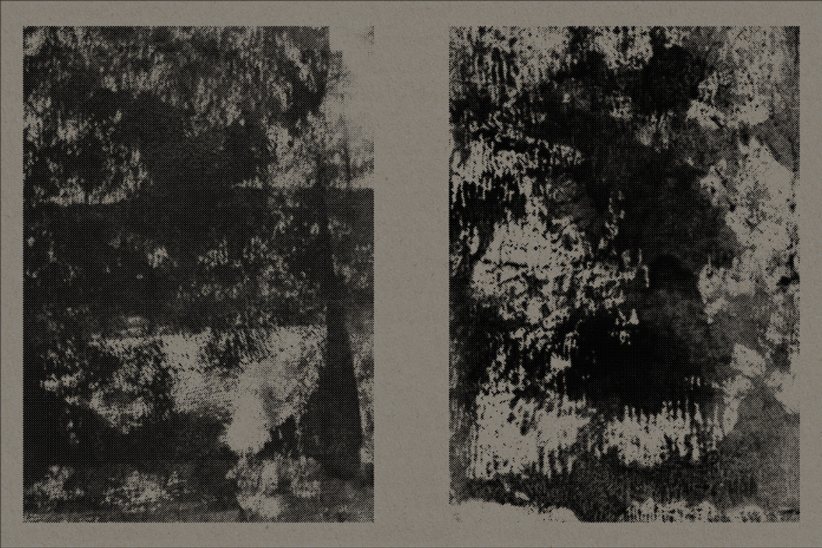 Halftone Inks 02 - Vector & PNG, a Texture Graphic by Offset (Photo 5 of 14)