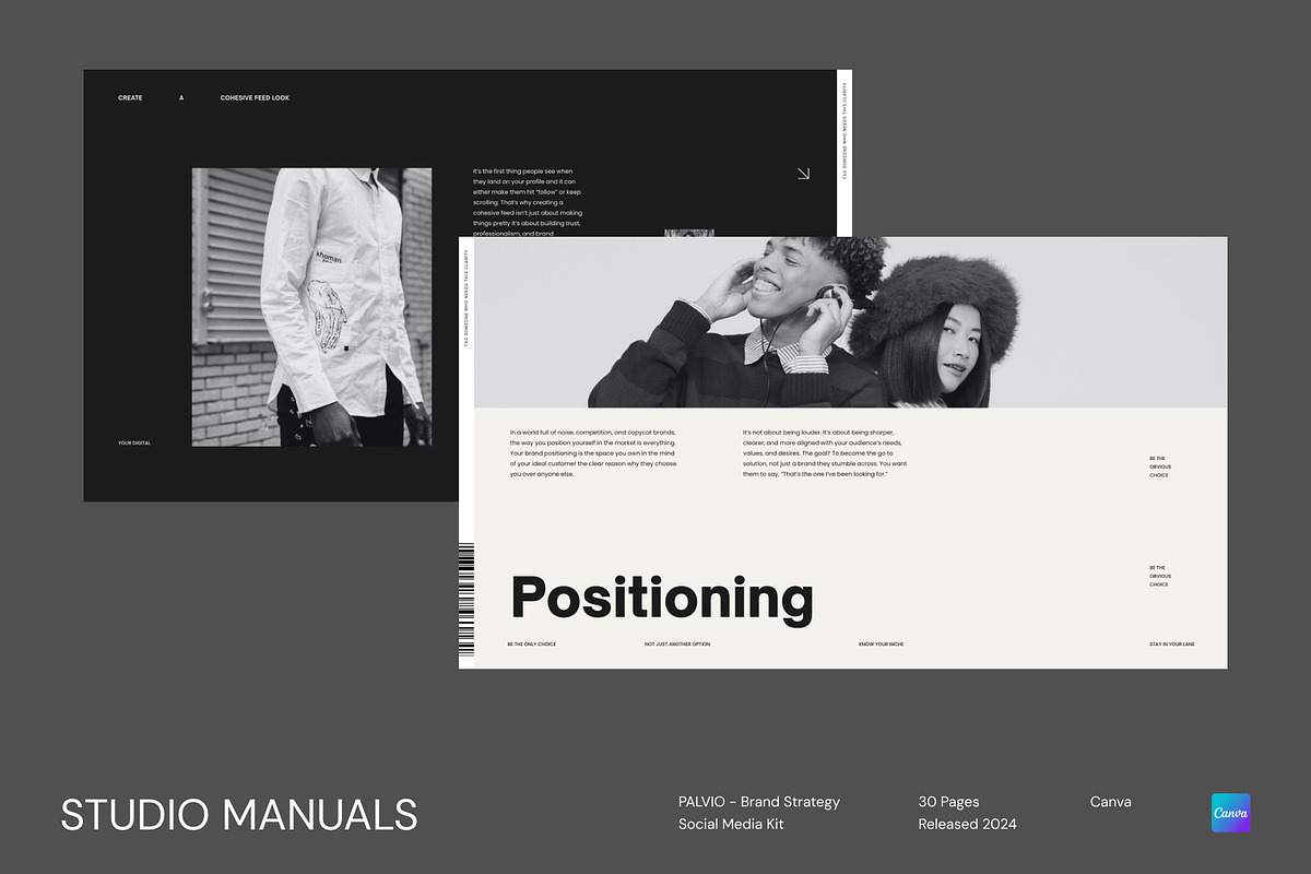 PALVIO - Brand Strategy Social Media, a Social Media Template by Studio Manuals (Photo 1 of 8)