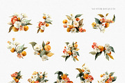 Watercolor Mandarin Clipart Set, a Decorative Illustration by ThaismotaCreativeCo (Thumbnail 9 of 13)