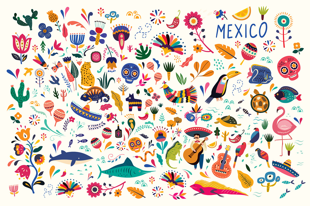 MEXICO collection, an Animal Illustration by MoleskoStudio (Photo 2 of 14)