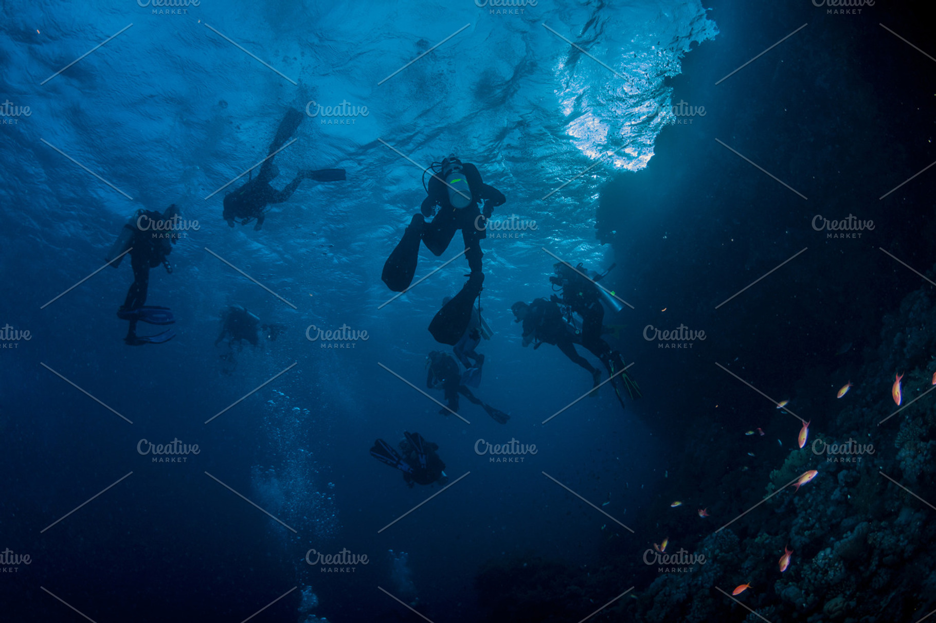 Divers in the blue containing divers, lifestyle, and diving, a Sports & Recreation Photo by atussub