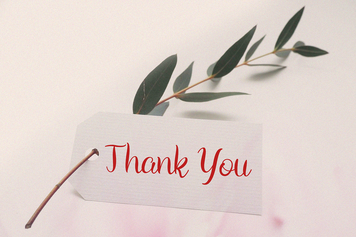 Arionna - Modern Calligraphy Font, a Script Font by StringLabs (Photo 6 of 6)