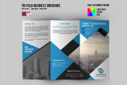 InDesign Business Brochure-V348, a Brochure Template by Template Shop (Thumbnail 1 of 4)