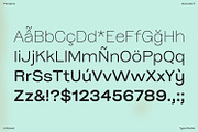 Pampero | Modern Display & Text Sans, a Sans Serif Font by Antipixel Type Studio (Thumbnail 3 of 16)
