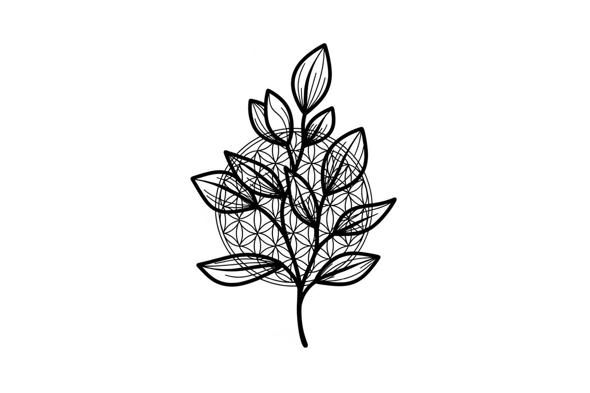Floral Ornament Silhouette Bundle, an Illustration by BIPLOB EXPERT (Photo 36 of 51)