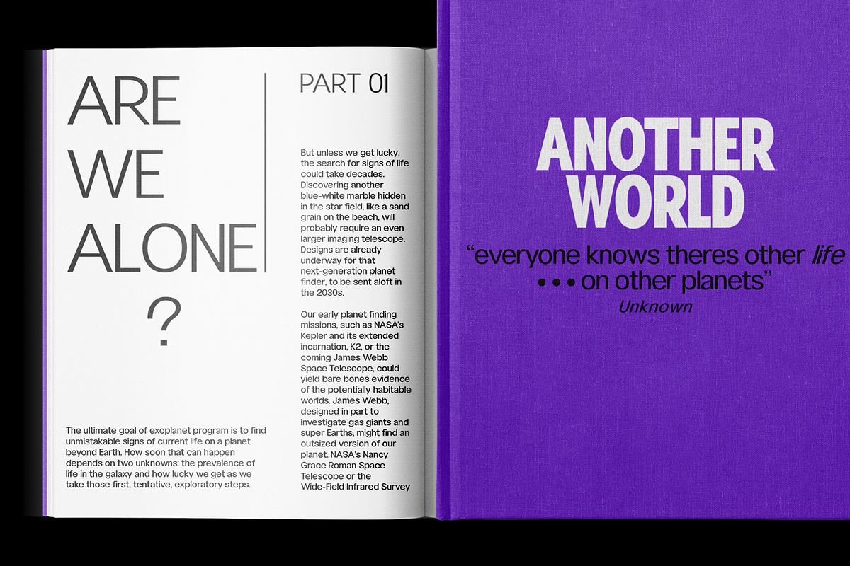 Gallinari - Modern Grotesk 36 Fonts, a Sans Serif Font by Jehoo Creative (Photo 8 of 14)