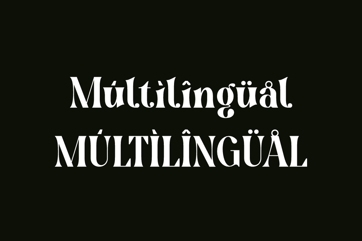 Arkity Qillgar Feminine Elegant Font, a Serif Font by Iqsiart Studio (Photo 5 of 13)