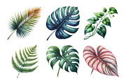 matching Tropical Leaves Bundle, an Illustration by Daily.Designs (Thumbnail 4 of 5)