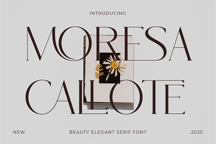 Moresa Callote - Beauty Elegant