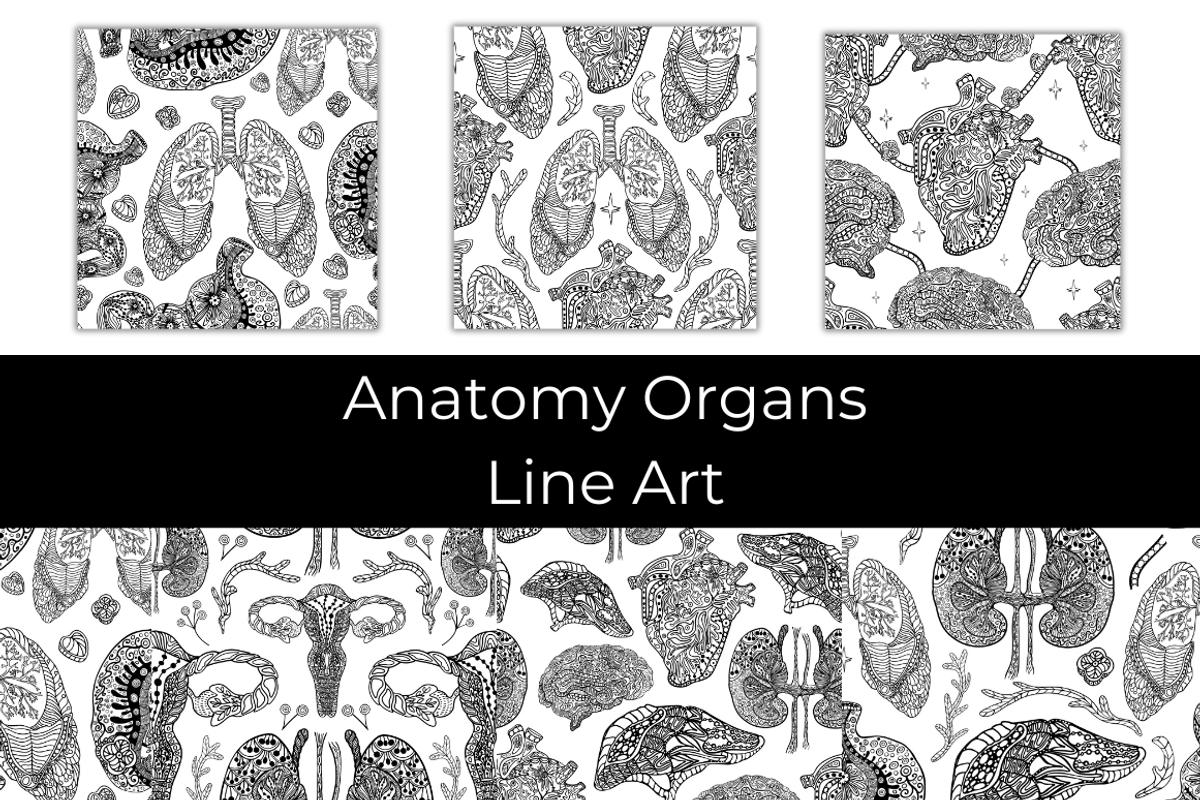 Anatomy Organs Line Art, a Texture Graphic by InkyQueenArt (Photo 1 of 4)
