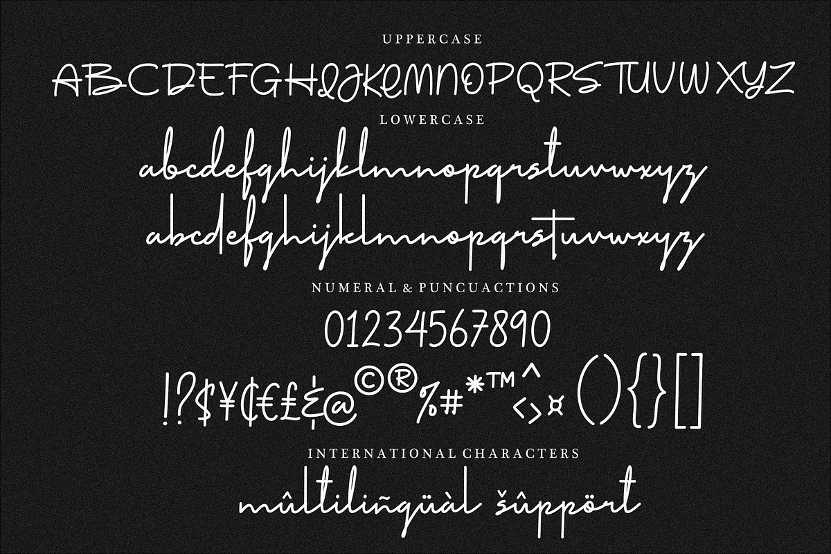 The Stylist - Modern Signature Font, a Script Font by HRDR (Photo 7 of 8)