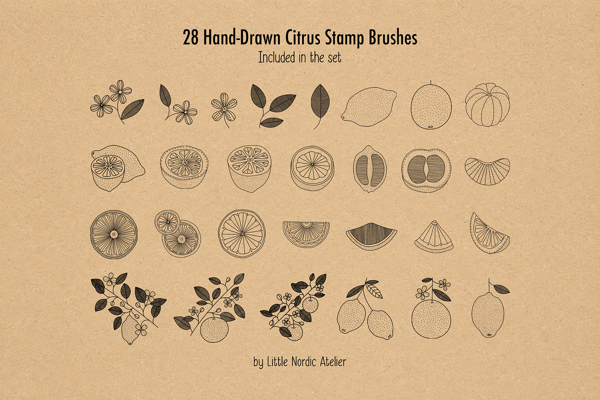 Citrus Botanicals Procreate Stamps, a Brush Add-On by Little Nordic Atelier (Photo 2 of 6)