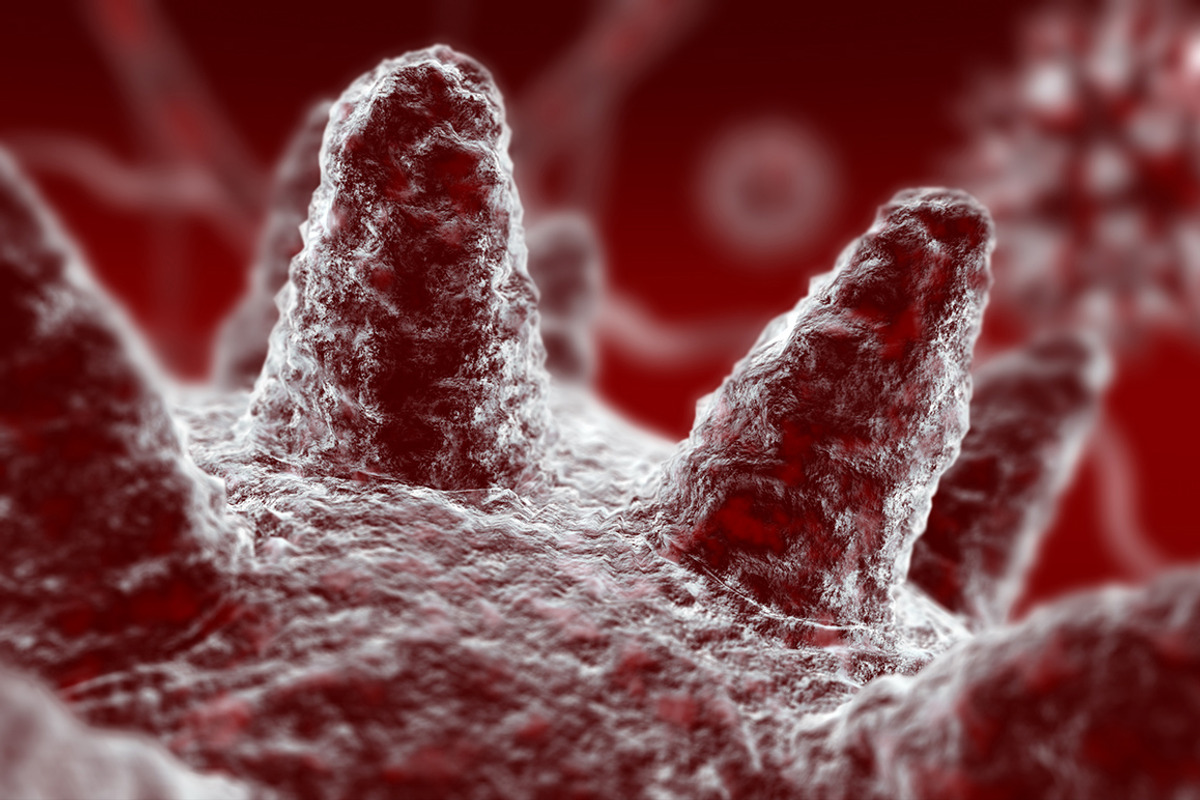 Flu virus preview 4