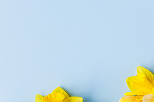 Happy Easter! Colorful Easter eggs with daffodils flowers flat l, a Holiday Photo by Sonjachni
