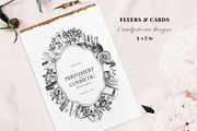 Aromatic Plants & Flowers Vector Set, a Healthcare Illustration by Yevheniia (Thumbnail 6 of 9)