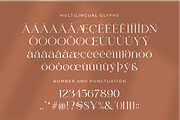 Bilgie - Chique Serif Font, a Serif Font by zeenesia (Thumbnail 17 of 19)