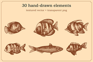 Hand Drawn Sea Life Elements