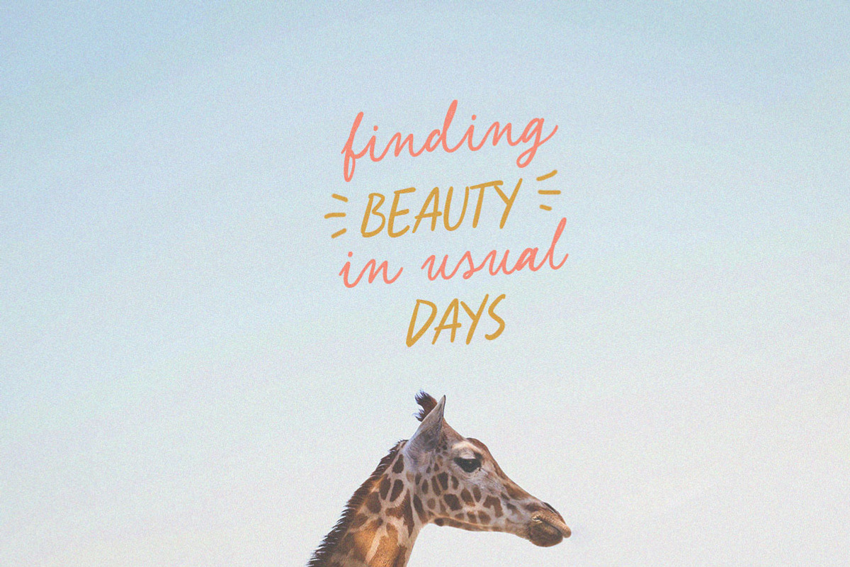 Secret Motion Handwritten Font Duo, a Handwritten Font by Littlehand (Photo 6 of 11)