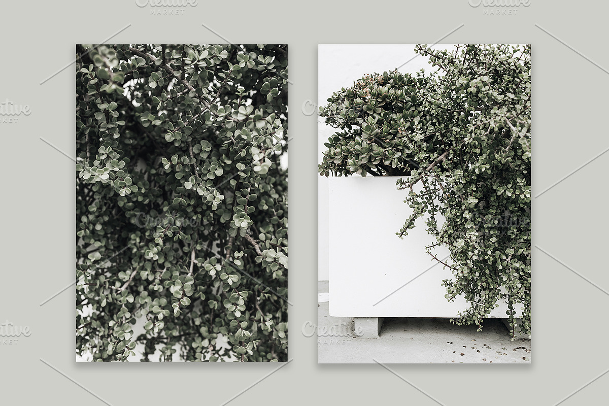 Lifestyle Bundles Collection 3, a Photo by Floral Deco (Photo 19 of 48)