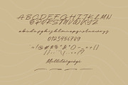 Cashrole Script, a Script Font by khurasan (Thumbnail 7 of 7)