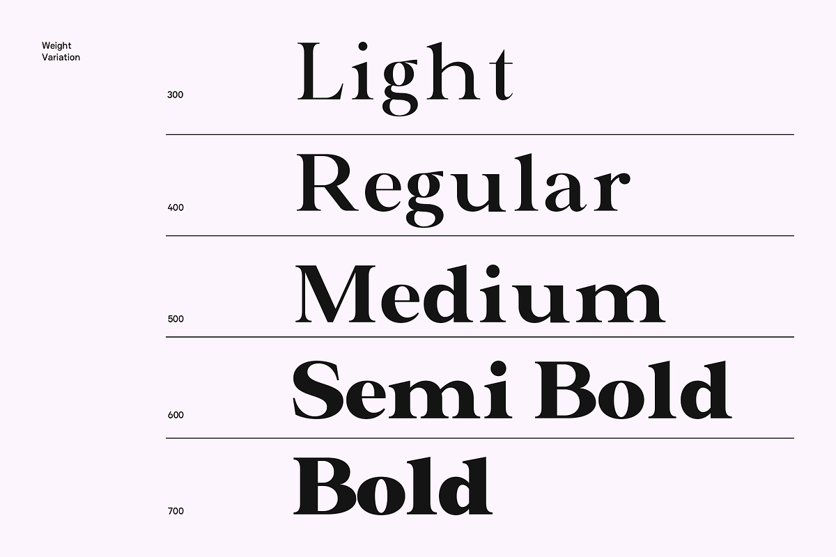 Valero - Classic Serif Family, a Serif Font by Indotype Foundry (Photo 2 of 10)