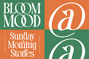 Mequnch Modern Serif Display Font, a Serif Font by timelesstype.co (Thumbnail 6 of 20)