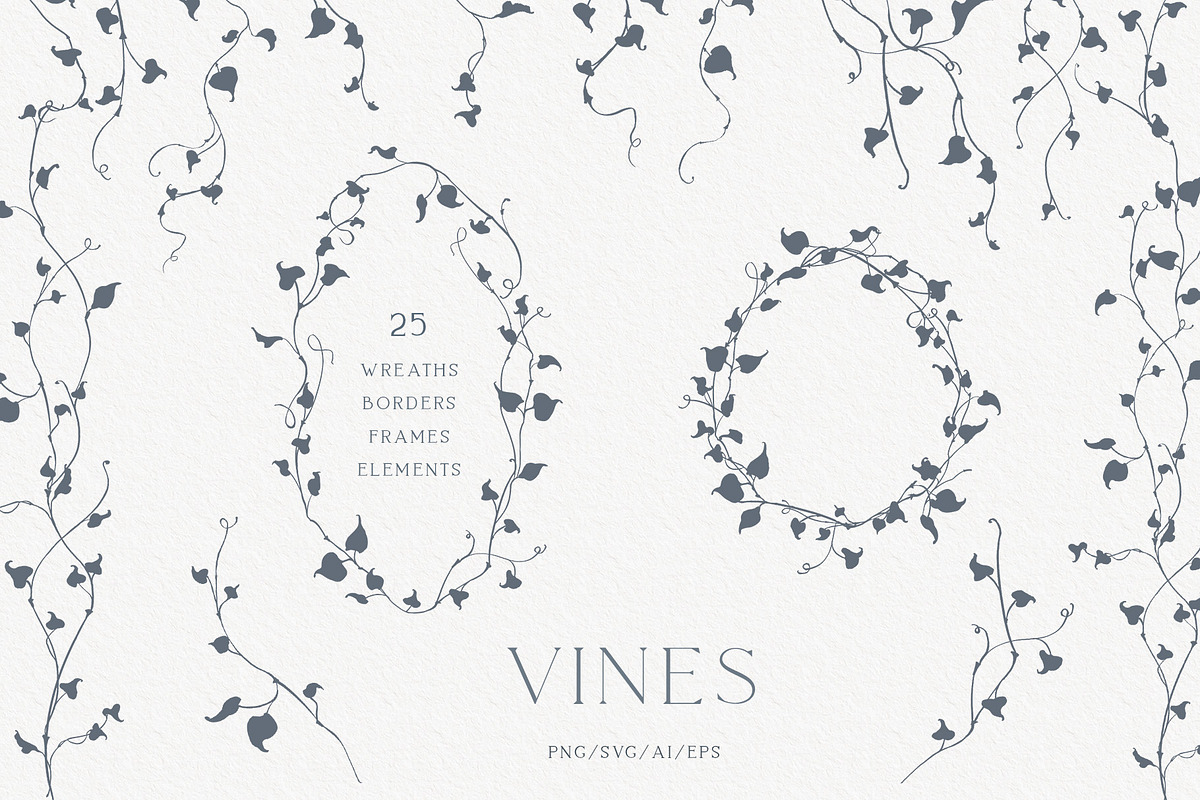 Vines Linear Clipart Kit, an Object Illustration by Sensual Art (Photo 1 of 7)