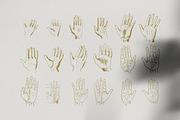 Palmistry, Zodiac & Occult, an Illustration by Nomad Visuals (Thumbnail 8 of 13)