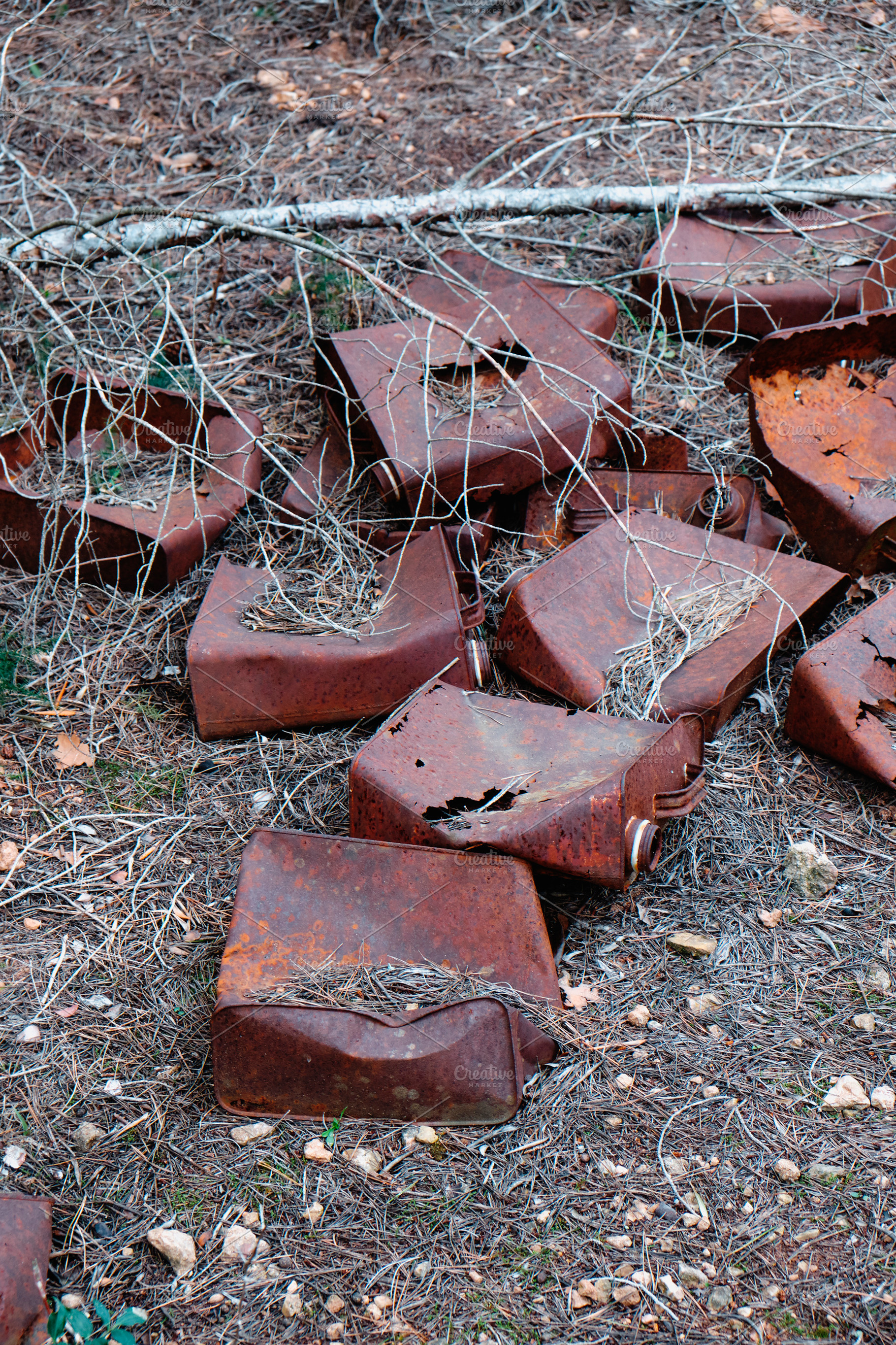 old cans in decomposition phase on the forest, a Photo by Nito