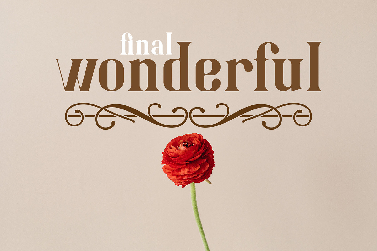 Noffan modern serif, a Serif Font by pictranoosa_studio (Photo 2 of 8)