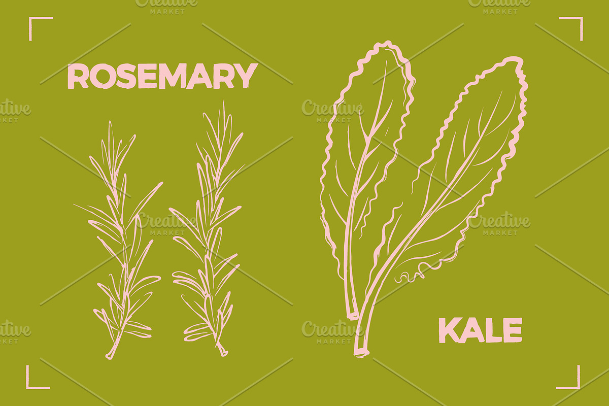 GREENS LINE ART SET (14 elements), a Food Illustration by Bonfloret Studio (Photo 2 of 8)