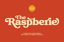 Raspberie - Retro Modern Font