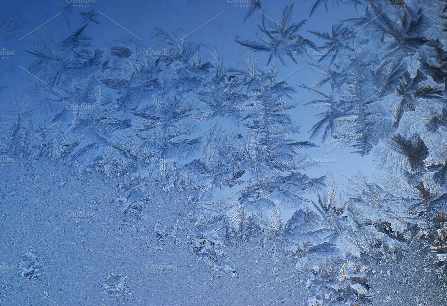 Frosty pattern, a Photo by saiko3p
