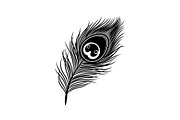 Peacock Feather Silhouette Bundle, an Illustration by jahid234 (Thumbnail 3 of 31)