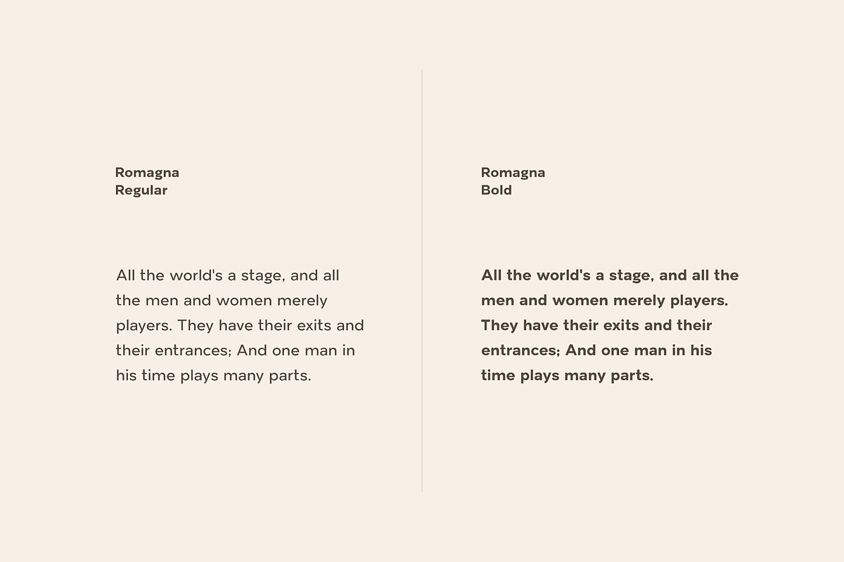 Romagna - Versatile Sans-Serif, a Sans Serif Font by AlienValley (Photo 6 of 9)