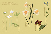 Vintage Garden Pattern Collection, a Pattern Graphic by PenguinArtStudio (Thumbnail 2 of 8)