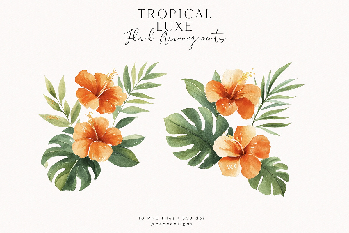 Tropical Luxe Collection, an Illustration by PeDe Designs (Photo 11 of 28)