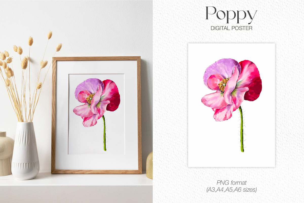 Pink watercolor digital Poppy flower, a Decorative Illustration by Harmony Draws (Photo 5 of 6)