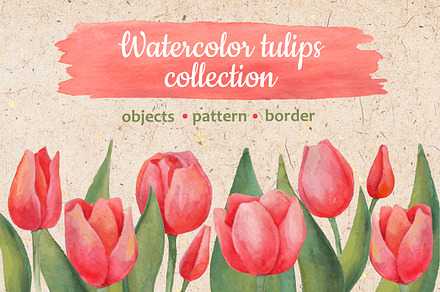 Watercolor tulips collection