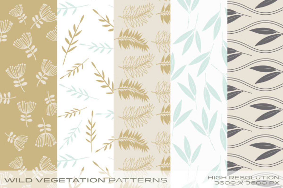 Wild Vegetation Patterns