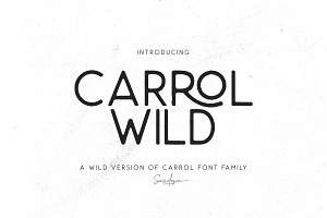 Carrol Wild - Modern Sans