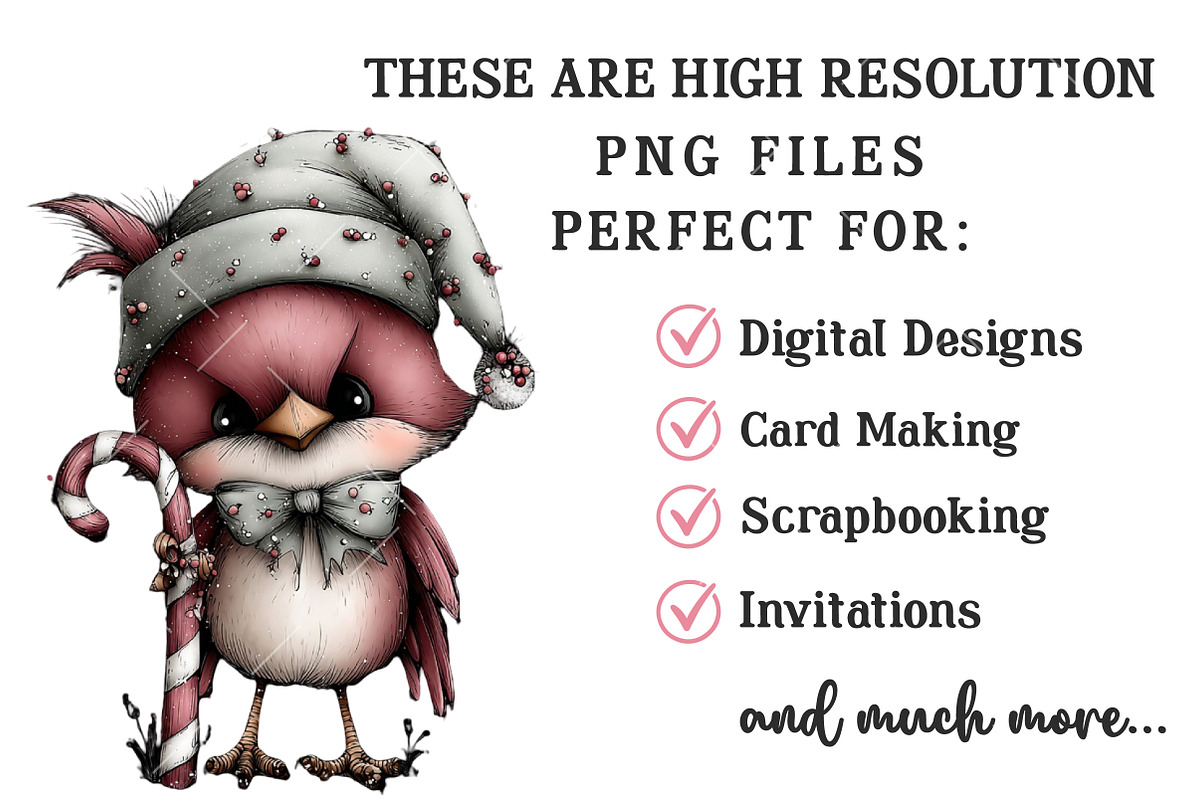 Whimsical Winter Bird Clipart, an Illustration by OK Design (Photo 5 of 6)