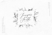 Bella Luna | Feminine Script Font, a Script Font by Pink Coffie (Thumbnail 5 of 30)