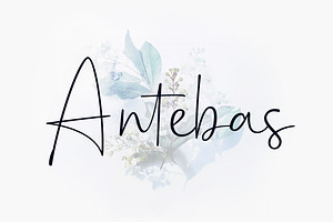 Antebas - Hand Display Script