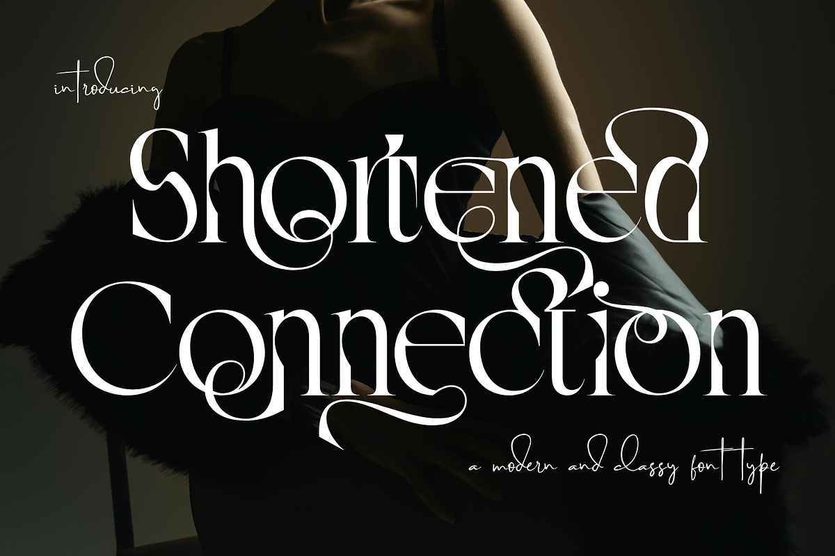 Shortened Connection - Elegant Font, a Serif Font by 177Studio (Photo 1 of 8)