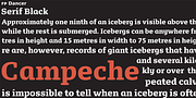 FP Dancer Serif, a Slab Serif Font by Fontpartners (Thumbnail 7 of 7)