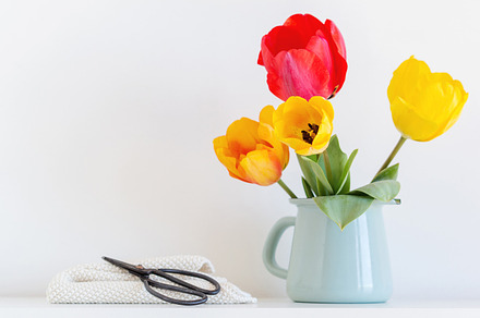 Tulips mock-up